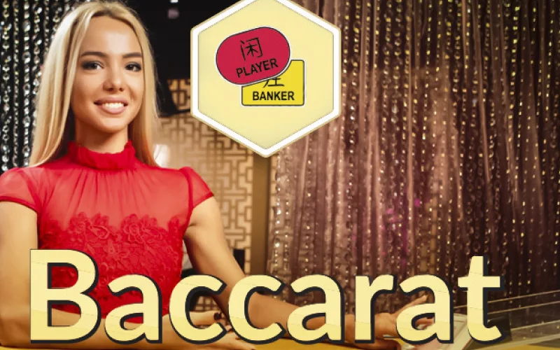 Join Stake Baccarat, collect points and beat the game.