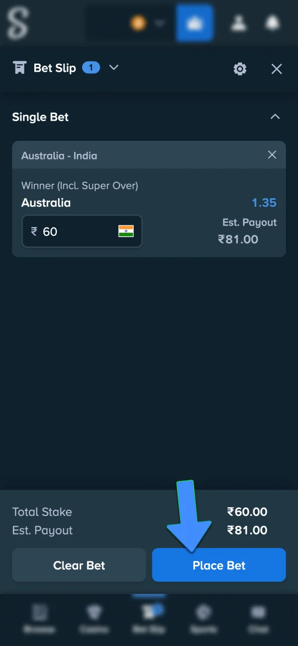 Confirm your cricket bet and place it on Stake.