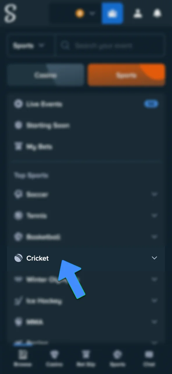 Go to the Cricket section on Stake and start betting.