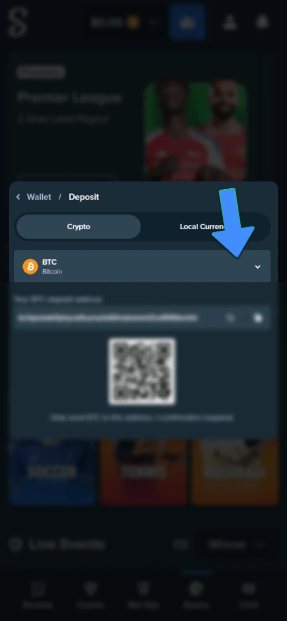 Select your preferred payment system on Stake app.