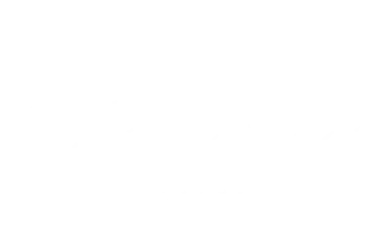 Join Stake Casino and enjoy The International action with real prizes.