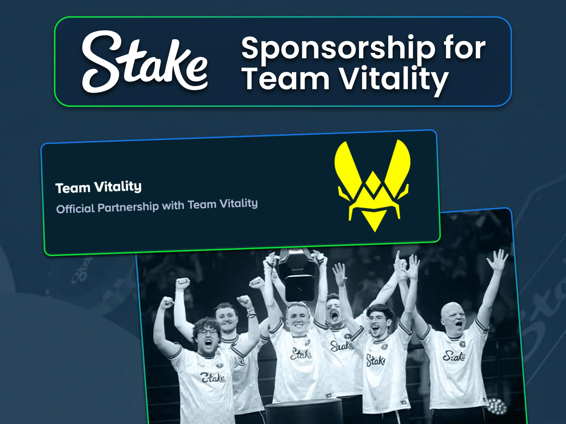 Support Team Vitality and bet on CS2 with Stake.