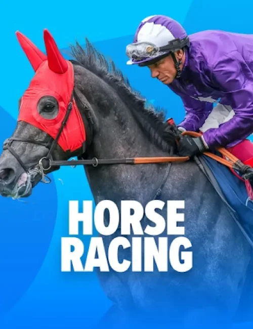 Join Stake Casino and enjoy horse racing bets with real prizes.